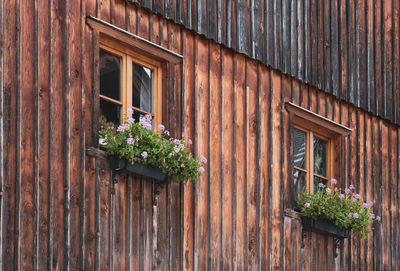 Low angle view of potted plant on window of house