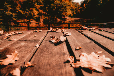 Autumn background colorful foliage on wooden background