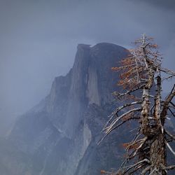 Scenic view of tree mountain against sky