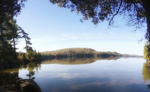 Reflection of trees in lake