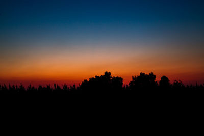 Silhouette trees against sky during sunset