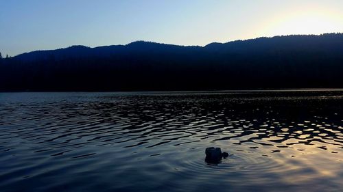 Silhouette ducks swimming on lake against clear sky