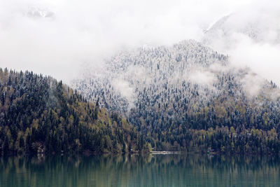 nature