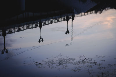 Reflection of trees in lake