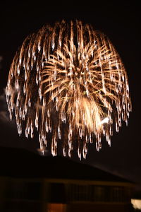 Firework display at night