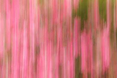 Full frame shot of multi colored background