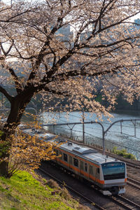 Train on railroad track