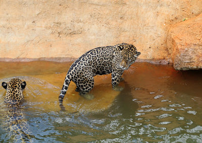 View of a drinking water