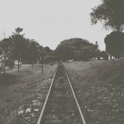 Railroad tracks on landscape