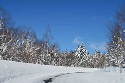 Snow covered road by trees against blue sky