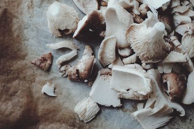 High angle view of mushrooms on table