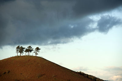 Low angle view of storm clouds over palm tree