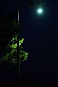 Low angle view of trees against sky at night