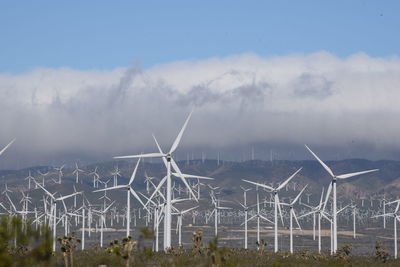 Windmills against sky