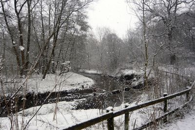 Scenic view of snow covered landscape