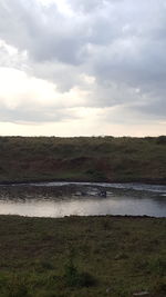 Scenic view of beach against sky
