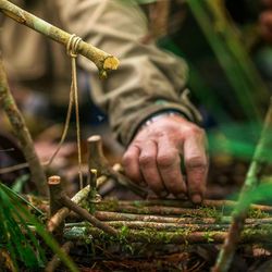 Close-up of man working on plant