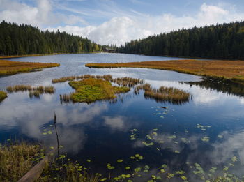 Scenic view of lake in forest against sky