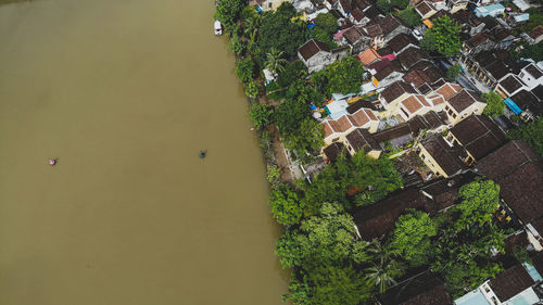 High angle view of trees and buildings in city