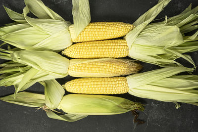 Fresh sweet corn on the cob , top view, dark background