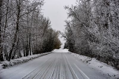 Snow covered road amidst bare trees against sky