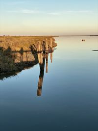 Reflection of tree in lake against sky