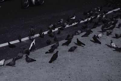 Low section of people on road