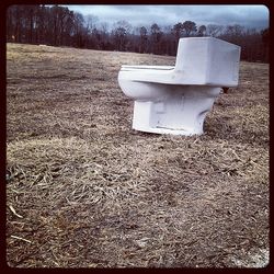 View of trees on field