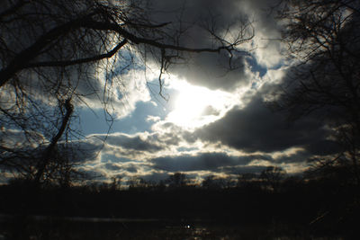 Low angle view of silhouette trees against sky at sunset