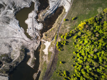 High angle view of trees on landscape