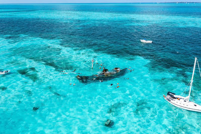 People snorkelling around the ship wreck near bahamas in the caribbean sea.