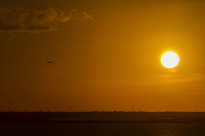 Silhouette bird flying in sky during sunset