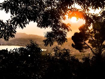 Silhouette trees against sky during sunset