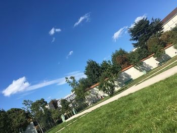 Low angle view of trees against sky
