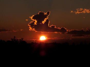 Silhouette trees against sky during sunset