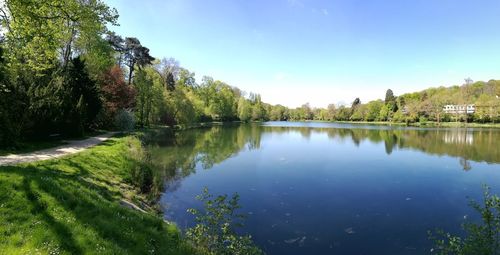 Reflection of trees in calm lake