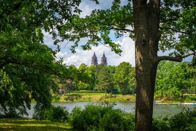 Scenic view of lake by trees against sky