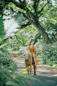 Rear view of woman standing in forest