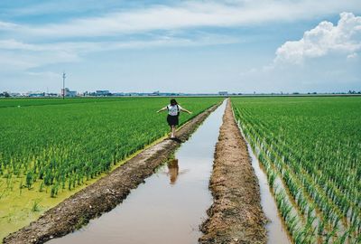 Man working in agricultural field against sky