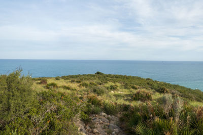 Scenic view of sea against sky