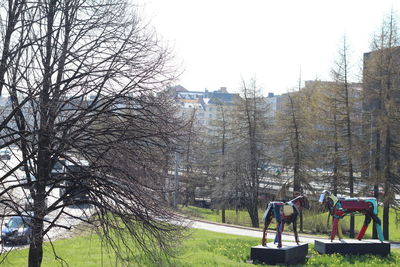 Person sitting on tree trunk