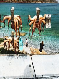 Octopus hanging against sea