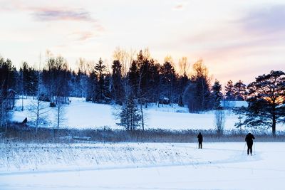 Scenic view of field against sky during winter