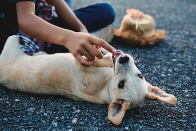 Low section of people sitting with dog