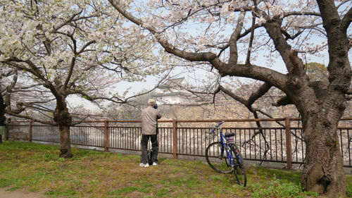 Rear view of man riding bicycle in park