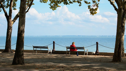Rear view of woman sitting on bench at lakeshore