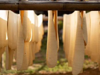 Close-up of clothes hanging on wood