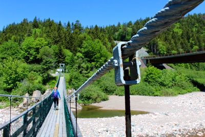 Railing by trees in forest against clear blue sky