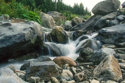 Scenic view of waterfall in forest