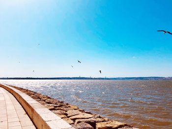 Seagulls flying over sea against sky